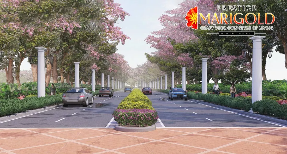 Prestige Marigold Phase 2